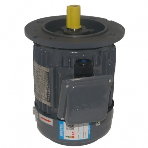 TEF3系列AEMV3N高效三相異步電機